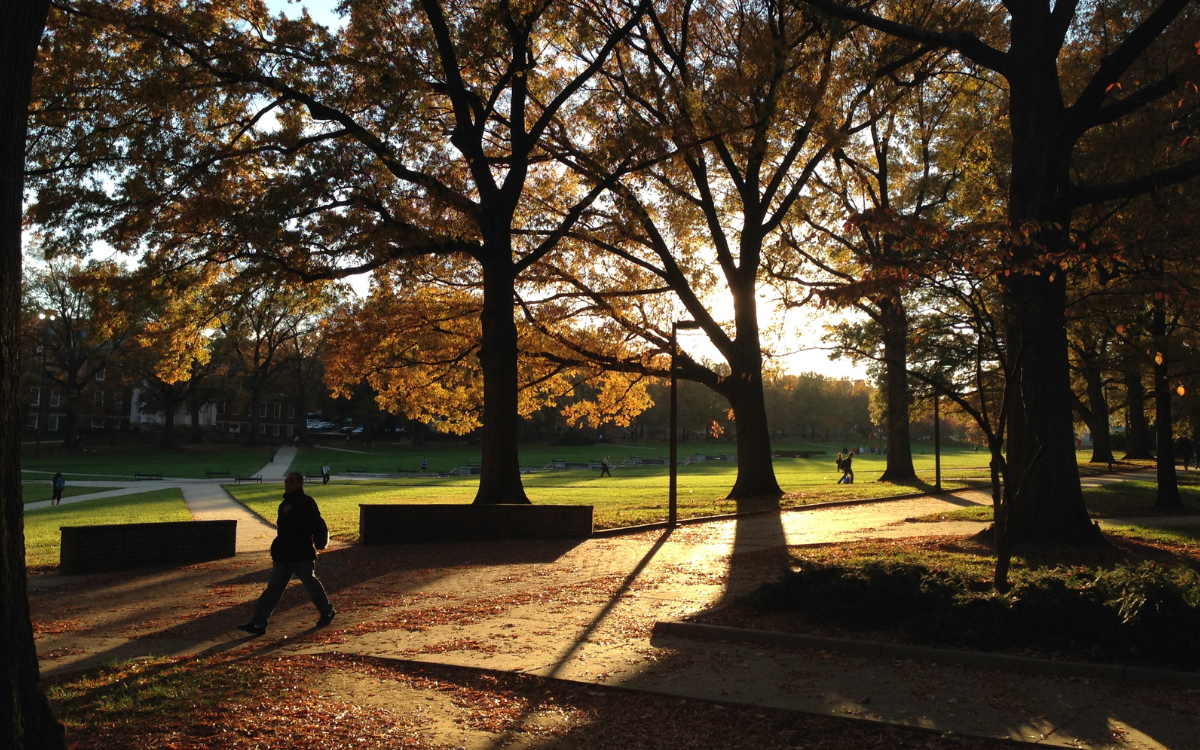 Autumn trees with yellow leaves and the silhouette of a person walking by on the mall at the University of Maryland.
